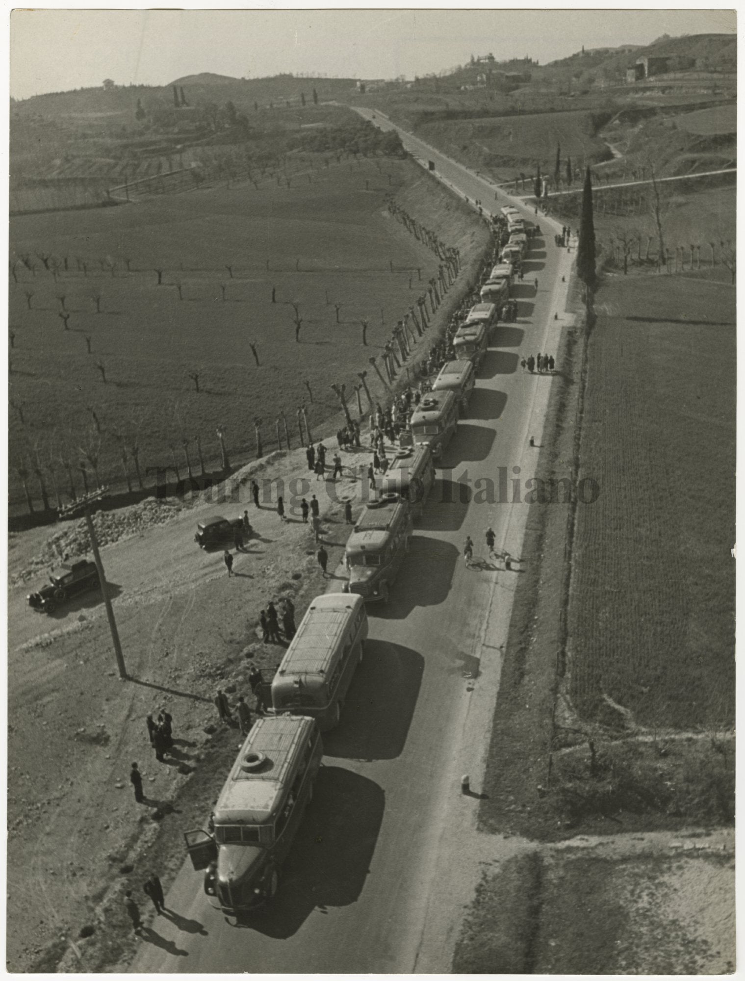 Colonna di pullman sulla strada da Lonato a Desenzano, 1954
