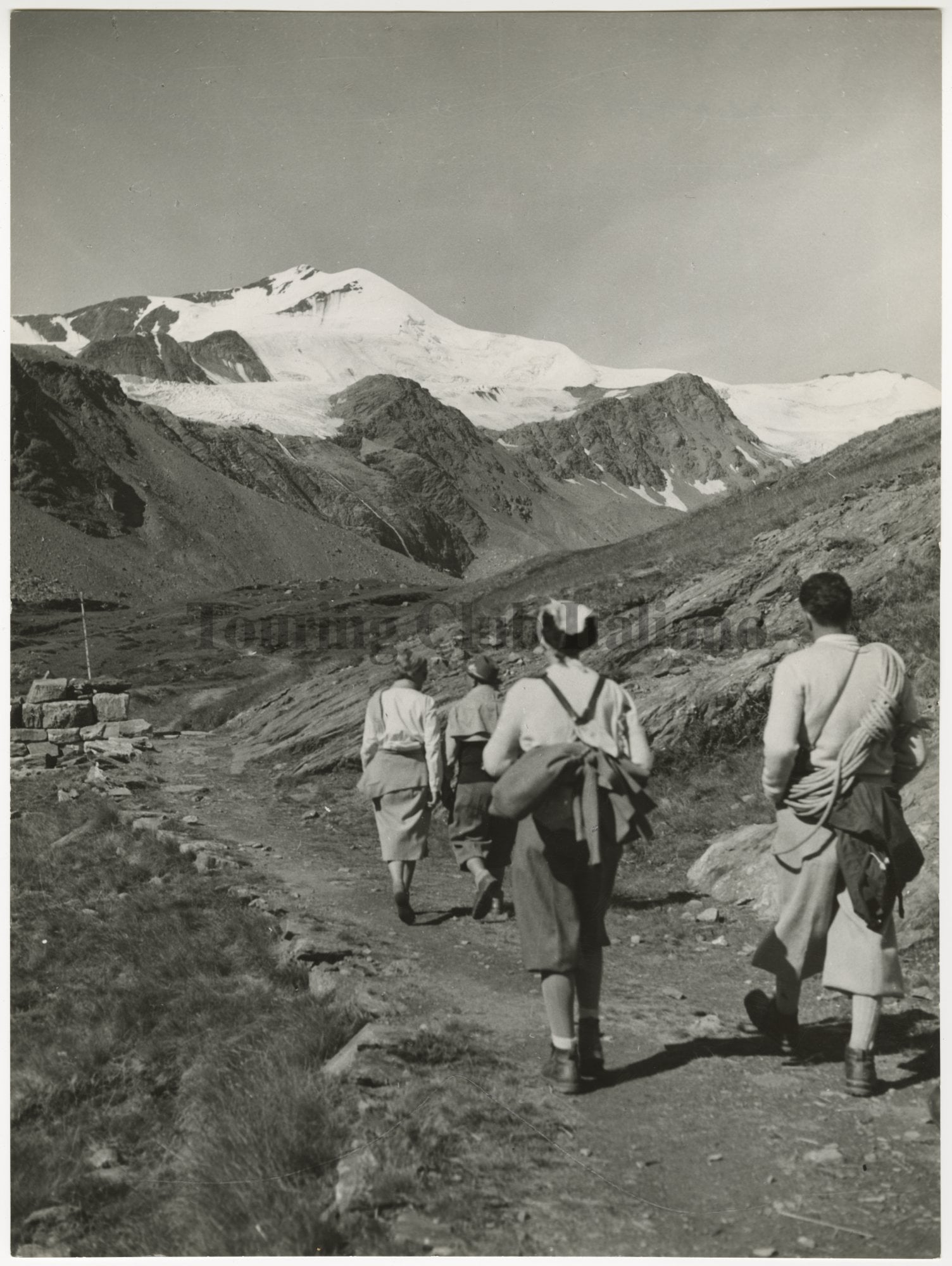 Escursionisti verso il Cevedale, 1956