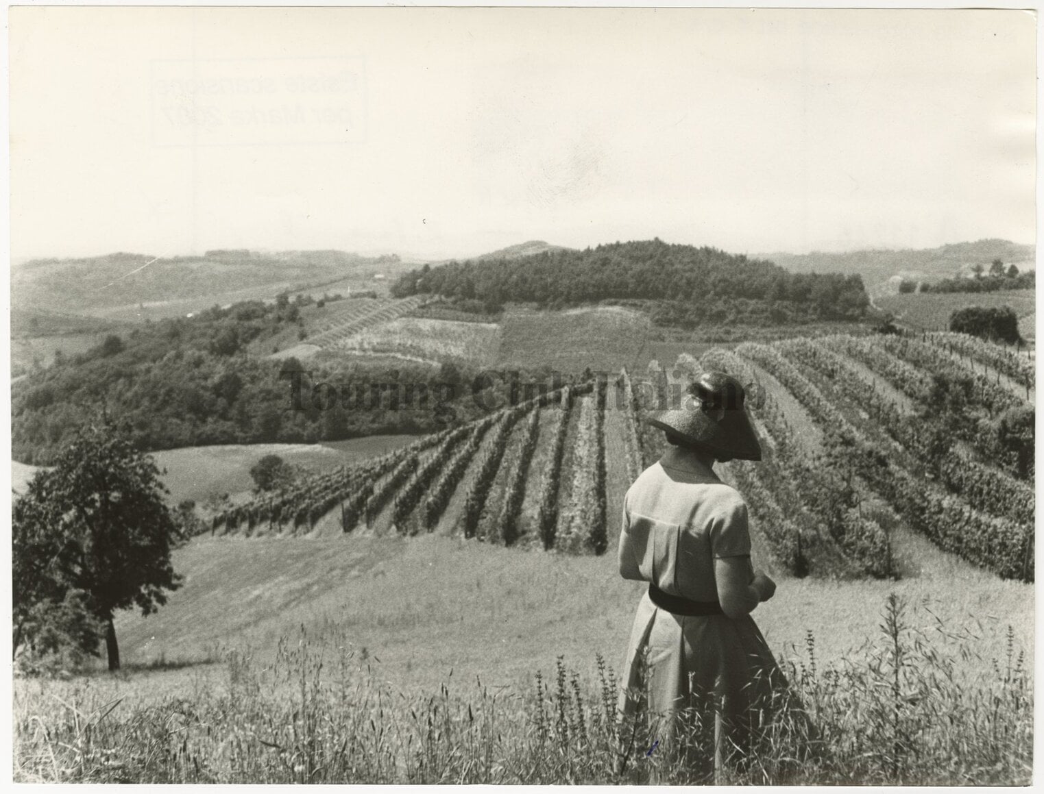 Vigneti dell'Astigiano, 1960