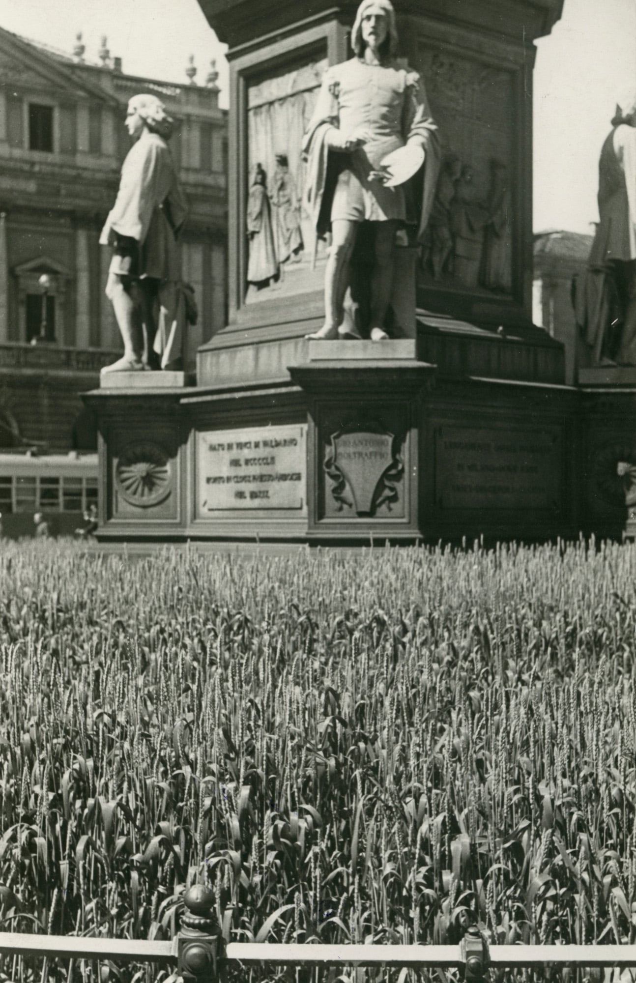 Un orto di guerra in Piazza della Scala a Milano, foto Bruno Stefani, pubblicata nell'articolo "La campagna in città", Vie d'Italia, luglio 1942
