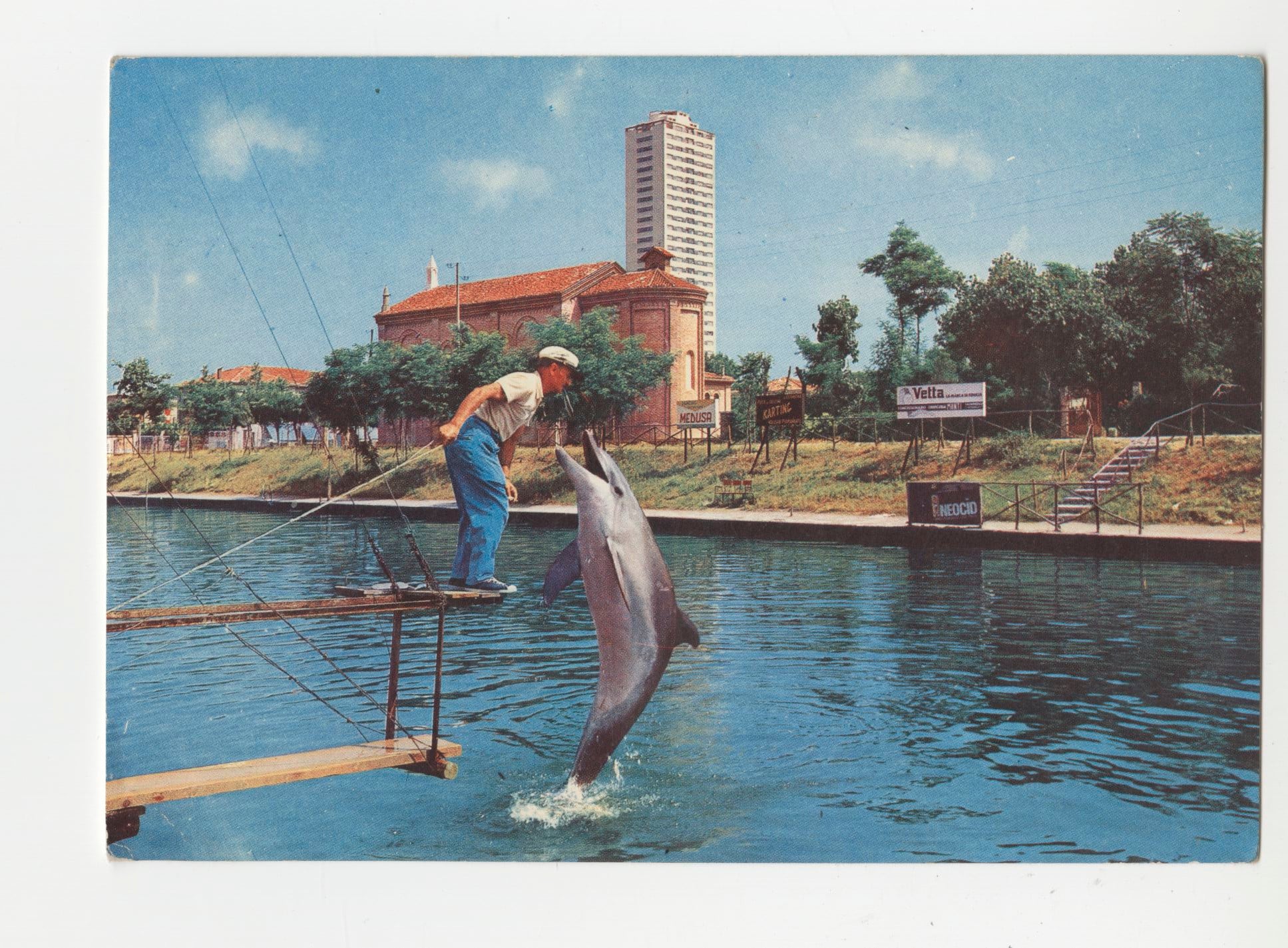 L'acquario di Cesenatico, 1971