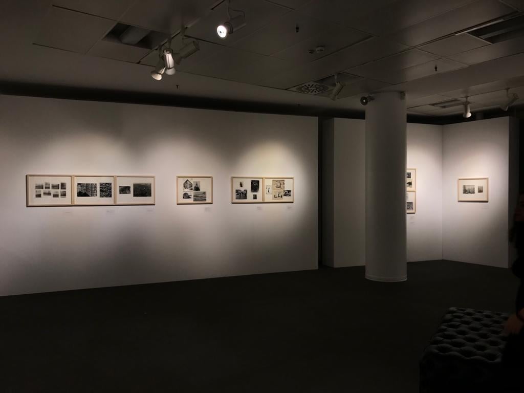 La mostra: il viaggio nel paesaggio