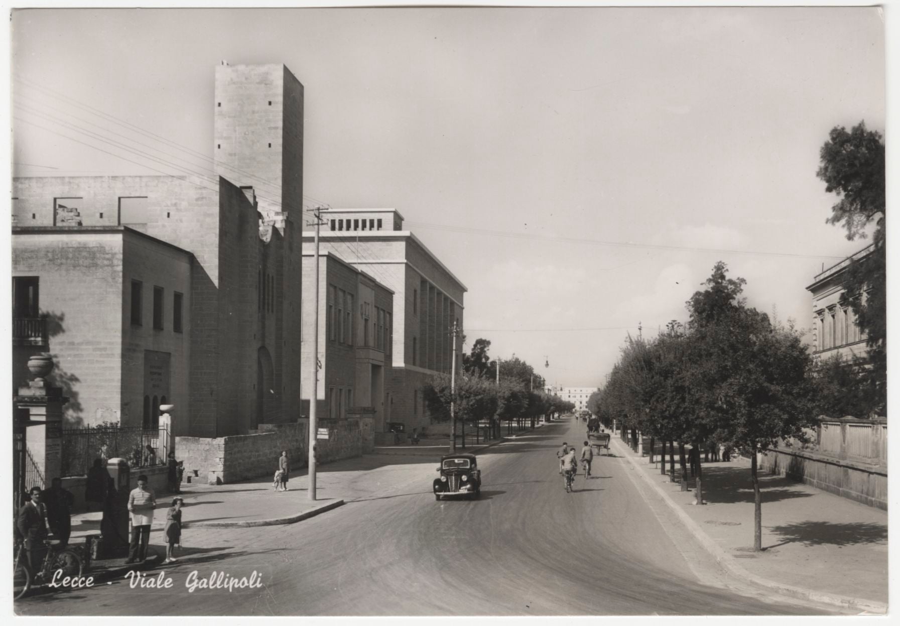 Viale Gallipoli a Lecce, ca. 1950