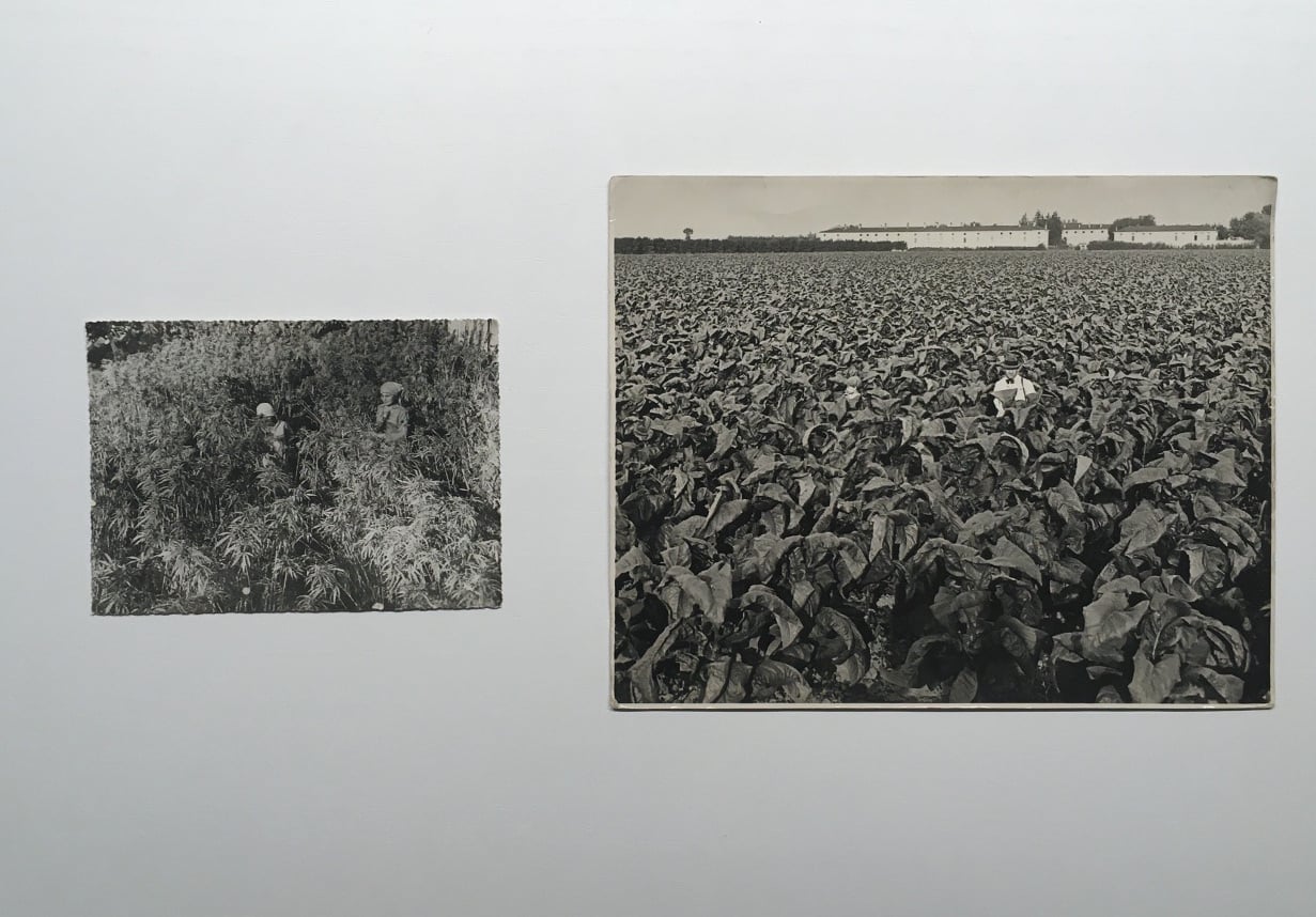 La presenza umana scompare nel paesaggio