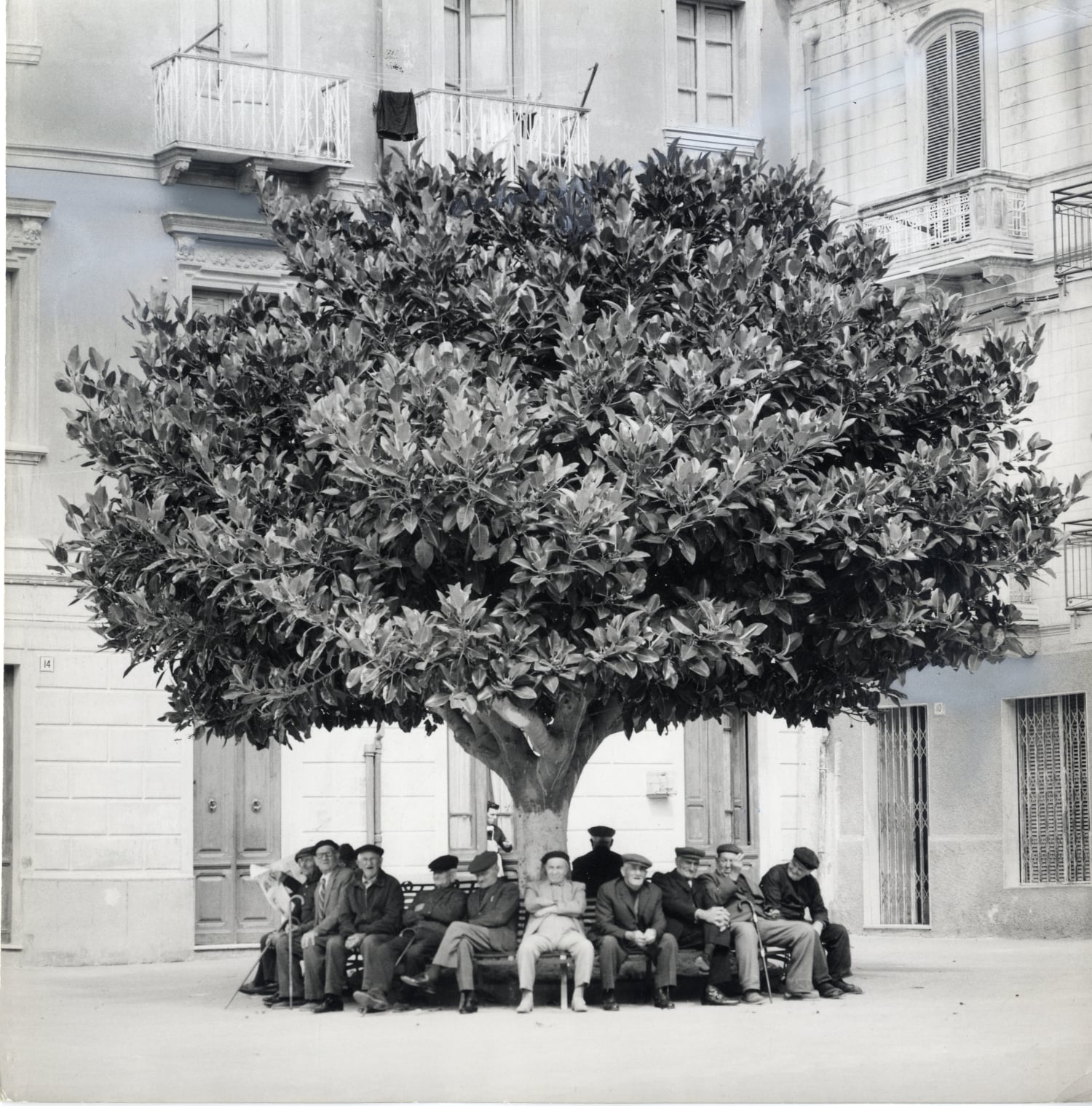Carloforte, Gianni Berengo Gardin, 1970