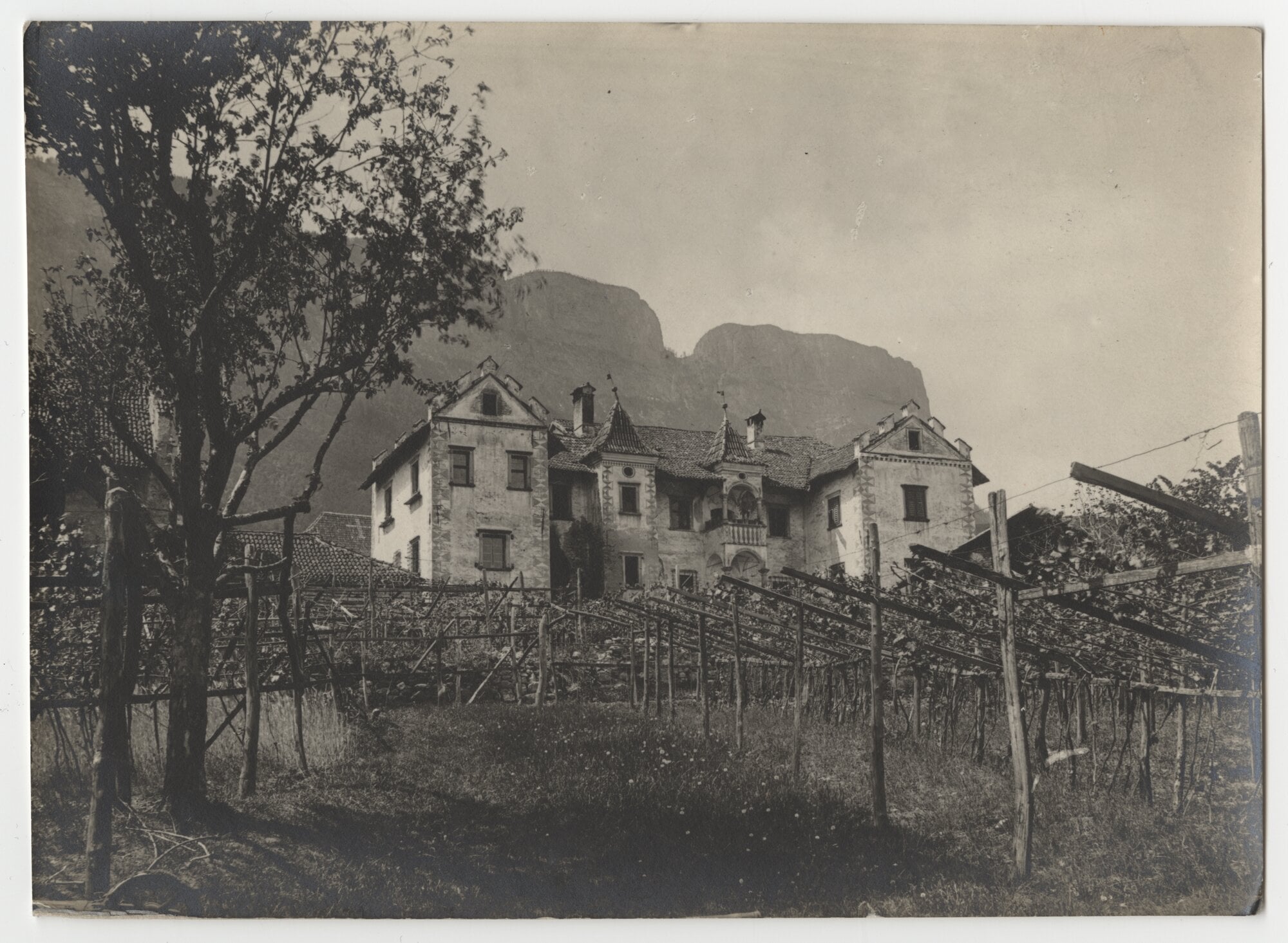 Vigneti a pergolato presso una casa altoatesina, [1890-1900]